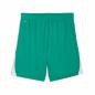 Preview: TuS GWP - teamLIGA26  Shorts